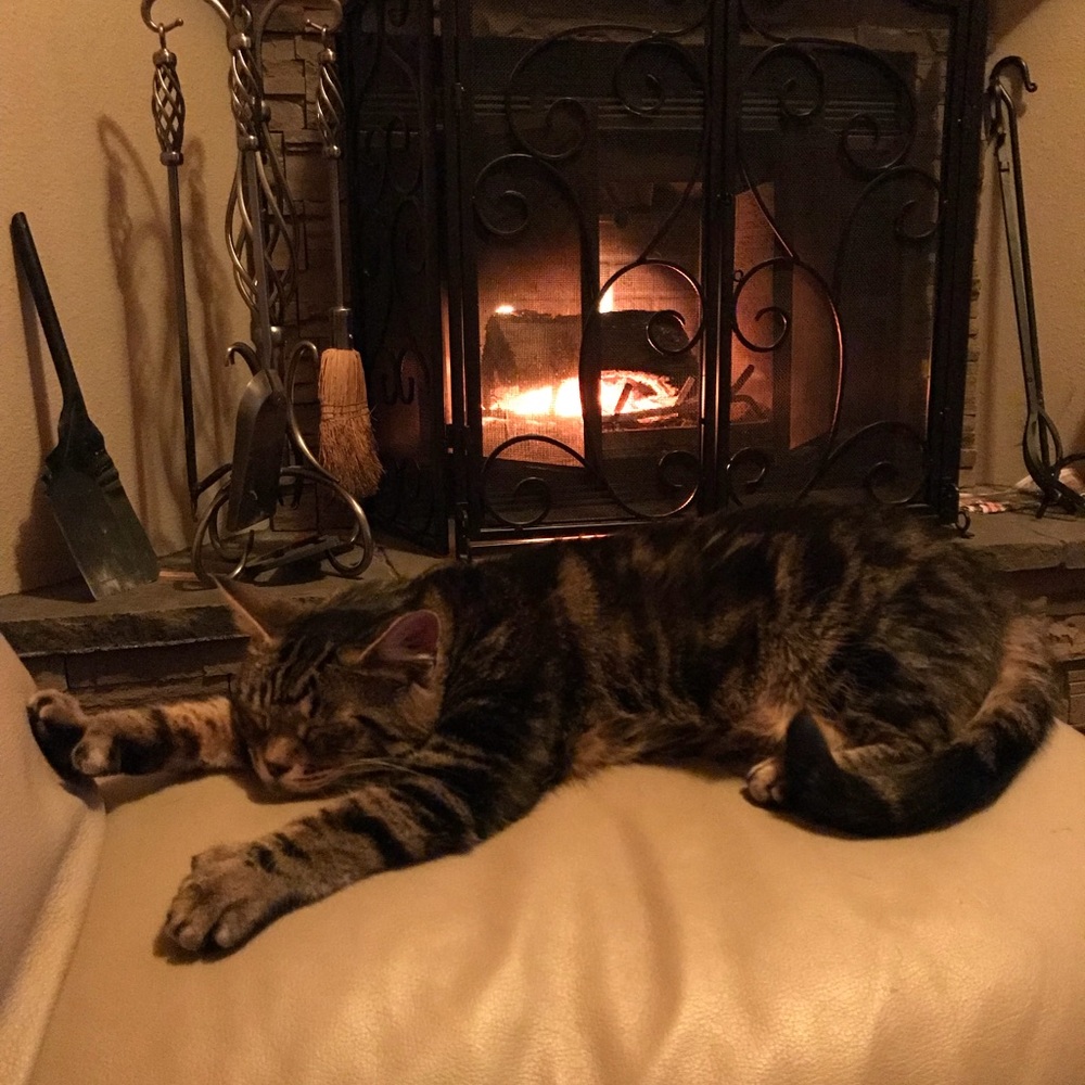 Meet your Posher, Courtney
